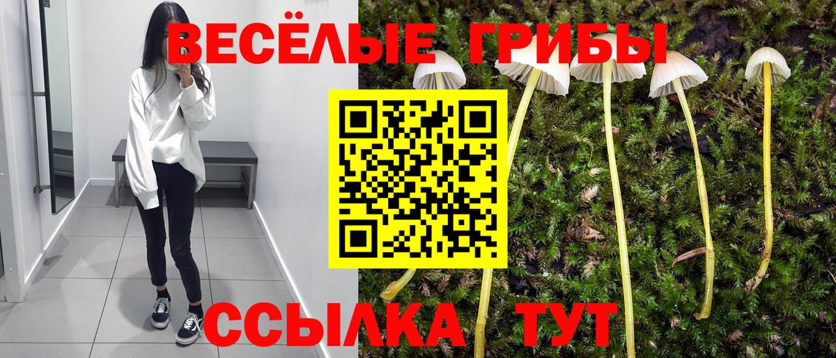 Унеча  Галлюциногенные грибы Magic Shrooms  цена наркотик  Вход с VPN 