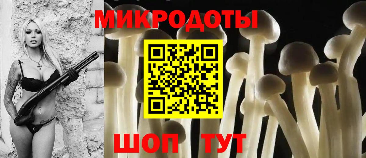 Псилоцибиновые грибы мухоморы Унеча